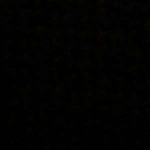 Meet your Posher, Dustin